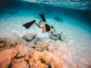 De bedste destinationer for dig, der elsker livet under vandet